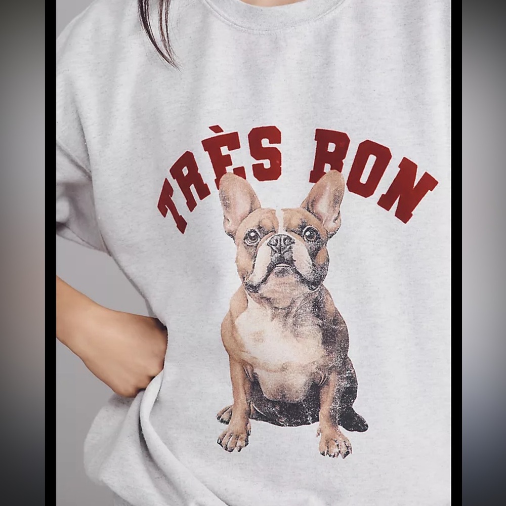 37) NWOT Anthropologie Oversized Dog Graphic Sweatshirt Grey Frenchie minor flaw - Picture 2 of 8